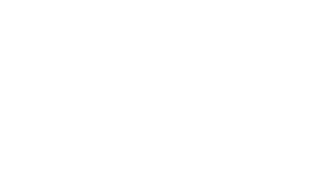 The Veu
